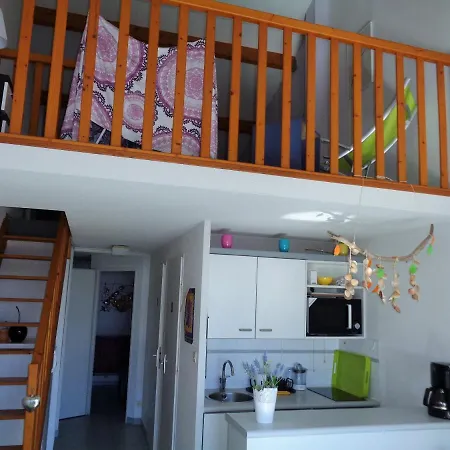 Apartman Duplex Dernier Etage Quartier Des Plages *